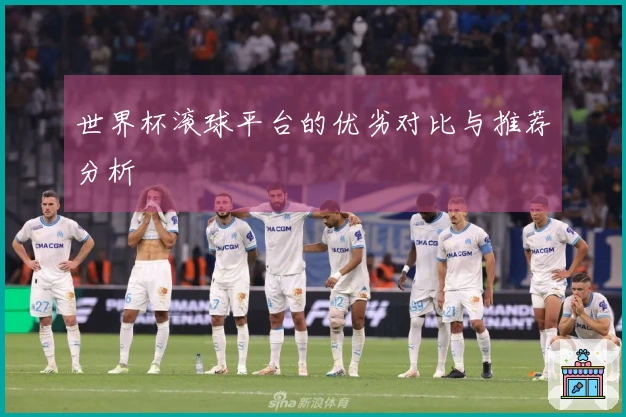 世界杯滚球平台的优劣对比与推荐分析