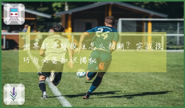 世界杯滚球投注怎么判断？实战技巧与必备知识揭秘